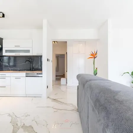 Strelitzia With Jacuzzi *