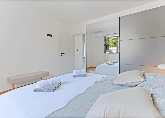 Strelitzia With Jacuzzi