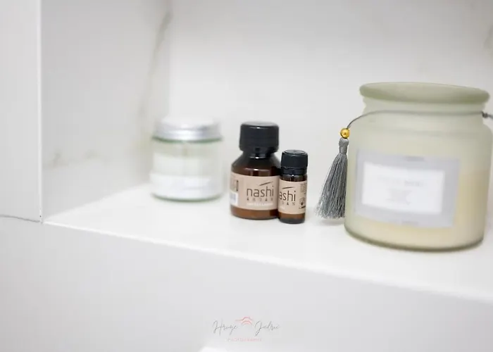 Strelitzia With Jacuzzi Apartment Split